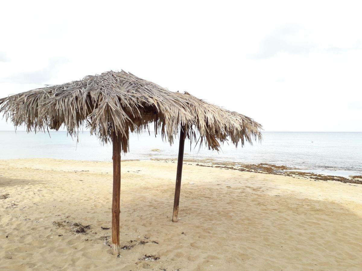 Protaras Happy Sunny Holidays 帕拉利米尼 外观 照片